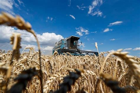 Wheat Stockpiles Lower Than Expected Worldwide