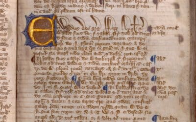 Magna Charta at 808